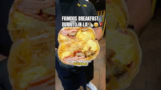 FAMOUS BREAKFAST BURRITO IN LA [upl. by Nileuqay]