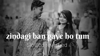 Zindagi Ban Gaye Ho Tum  Slow and Reverb Song  Udit Narayan  Lofi Song slowedandreverb lofi [upl. by Anav]