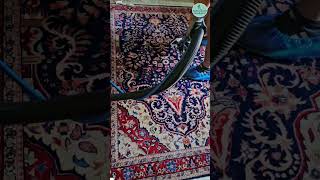 ✅ Clean a Persian Style Wool Rug  Odor RemovalChatham NJ [upl. by Arlena]