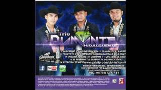 EL CAMPESINO TRIO DIAMANTE HIDALGUENSE [upl. by Adonis744]