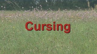 Cursing [upl. by Gabriel]