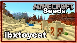 Amazing Rare Minecraft Seed ibxtoycat Minecraft Bedrock Edition Seeds [upl. by Diet723]