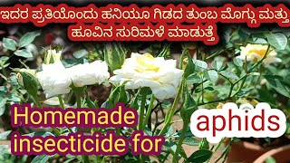 ಇದರ ಪ್ರತಿಯೊಂದು ಹನಿಯೂ ಗಿಡದ ತುಂಬ ಮೊಗ್ಗು amp ಹೂವಿನ ಸುರಿಮಳೆ ಮಾಡುತ್ತೆHomemade insectiside for aphids [upl. by Adirf787]