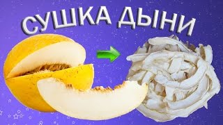 Сушеная дыня в сушилке для фруктов [upl. by Ferrigno]