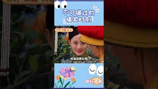 大胖橘最新韩语单曲《知否知否》，嬛嬛，二姑姨奶呦 甄嬛传 舔狗 搞笑 甄嬛傳 drama chinesedrama 霸總 romance 都市劇 宮廷劇 電視劇 [upl. by Ainotna]