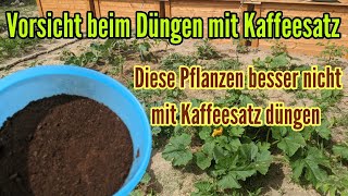 Diese Pflanzen sollten nicht mit Kaffeesatz gedüngt werden Darauf beim Düngen mit Kaffeesatz achten [upl. by Rafaelof]