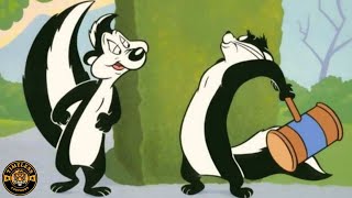 Pepe Le Pew Full Cartoon Compilation [upl. by Tannen]