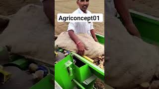 Potato Transplanter potato transplanting viralshorts recent facebook reels video instagram [upl. by Sinoda983]