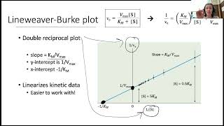 Enzyme Kinetics II 3 [upl. by Nosrettap]