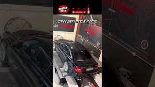 Is This the Best Sounding AMG Ever E55 M113K Dyno ASMR [upl. by Diantha]