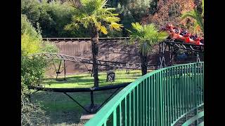 Oakland Zoo Tiger Trek roller coaster 4 December 16 2023 [upl. by Ennaerb]