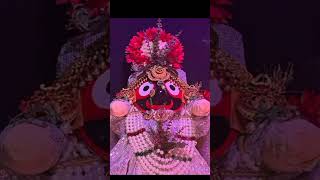 jayjagannath trending song odiavirl music love jagannath newsong [upl. by Tessy]