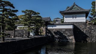 【4K Japan View】 the Imperial Palace in Tokyo  皇居 [upl. by Osmund]