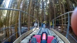 fforest coaster opening day  ZIP WORLD [upl. by Elleval166]