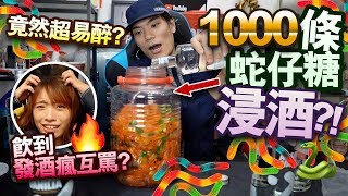 【挑戰】用一千條蛇仔糖浸酒！？竟然超易醉？飲到發酒瘋互罵！？ [upl. by Nirehs]