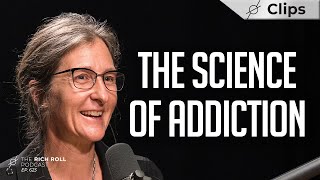 Living in a quotDopamine Nationquot The Neuroscience of Addiction w Anna Lembke [upl. by Gabor]