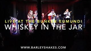 The Barleyshakes perform quotWhiskey in the Jarquot live at the Bunker [upl. by Enutrof]