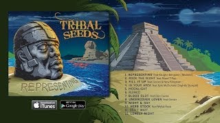 Tribal Seeds  Night amp Day OFFICIAL AUDIO [upl. by Glynda872]