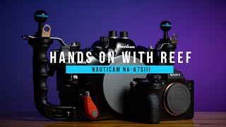 Hands on with Reef Sony A7SIII amp Nauticam NAA7SIII [upl. by Aimahs670]