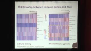 Sherene Loi Tumor infiltrating lymphocytes [upl. by Boy]