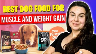 Top Dog Food to Gain Weight and Muscle Review For All Dogs [upl. by Tracy]