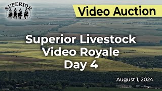 Superior Livestock AuctionVideo Royale Day 4 [upl. by Janet]