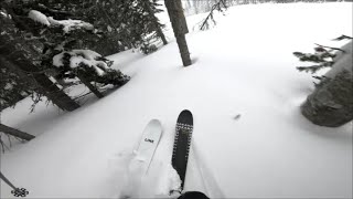 Line Sakana Skis In Powder [upl. by Ferdinana]