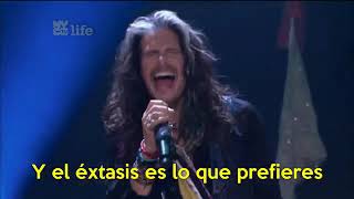 aerosmith jaded subtitulado LIVE 2 [upl. by Ailedroc571]