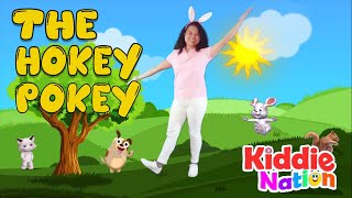 The Hokey Pokey action song with lyrics [upl. by Harry]