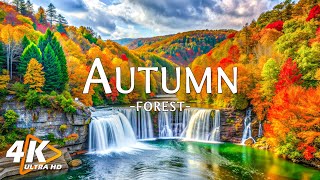 New England Autumn With Relaxing Music 🍁 Beautiful Foliage in Vermont and New Hampshire 4K [upl. by Hyacinthe]