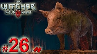 The Witcher 3 Wild Hunt 26 Porcos Mágicos e o Ouro de Tolo Missão de DLC Gameplay PTBR [upl. by Ahsinam936]