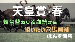 【天皇賞・春】舞台替わり＆血統から狙いたい穴馬を語りたい [upl. by Tra]