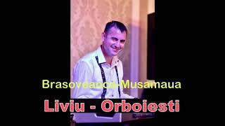 Brasoveanca si MusamauaLiviu de la Orboiesti obiceiuri de nunta live 2010 [upl. by Anoj539]