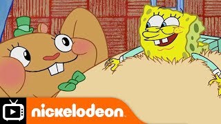 SpongeBob SquarePants  Dr Bob  Nickelodeon UK [upl. by Aleen]