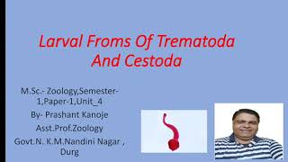 Larval froms of Trematoda and Cestoda ।। By  Prashant Kanoje [upl. by Eneri]