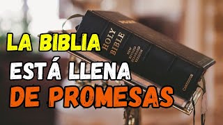 💥 quotLa importancia de Estudiar la Palabra de Dios  Un Mensaje para Tu Vida  El Hermano Jimmy [upl. by Alrak]