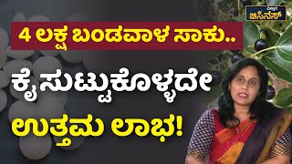 ಬದುಕಿಗೊಂದು ಬಿಸಿನೆಸ್‌  Vistara Business  Camphor Business  ಕರ್ಪೂರ ಬಿಸಿನೆಸ್‌ [upl. by Teerprug26]