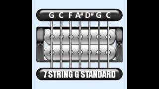 Perfect Guitar Tuner 7 String G Standard  G C F A D G C [upl. by Atinihc]