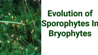 Evolution of Sporophytes in Bryophytes By Dr V P Gupta [upl. by Haughay]