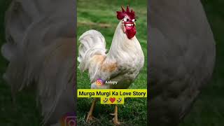 Murga vs murgi ka love 😘 story ❤️😂😂trendingshorts video [upl. by Filip763]