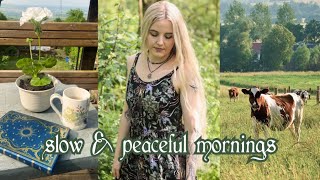 Gentle Morning Routine in the English Countryside  Peaceful Slow Living [upl. by Annod]