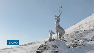 روسيا رحلة لعبور أخطر طرق العالم في صحراء سيبيريا الجليدية [upl. by Talanian]