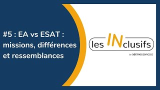 EA vs ESAT  missions différences et ressemblances  Les Inclusifs 5 [upl. by Teufert696]