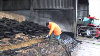 Opening the silage clamp for winterPart 1 [upl. by Granville288]