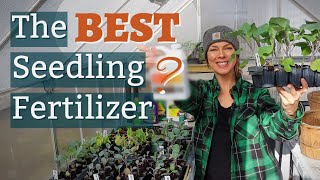 What is the Best Fertilizer for Seedlings [upl. by Parthenia]