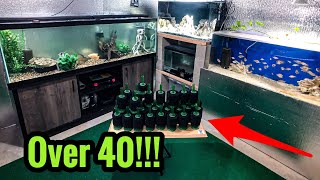 I am ADDING More Than 40 SPONGE FILTERS in My FISHROOM [upl. by Fugate]