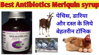 बकरीमुर्गी और कबूतर की best antibiotic syrup  Meriquni syrup  Enrofloxacin solution full review [upl. by Yroc]