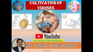 Medical VirologyCultivation of Viruses Lecture08 [upl. by Acinonrev]