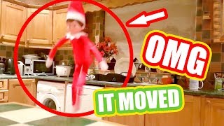 TOP 5 ELF ON THE SHELF VIDEOS 🎄Caught moving on camera🎄Ep 1 Christmas 2019 [upl. by Romano721]