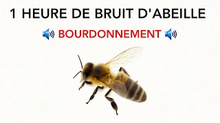 Bruit abeille 1h [upl. by Nahgem629]